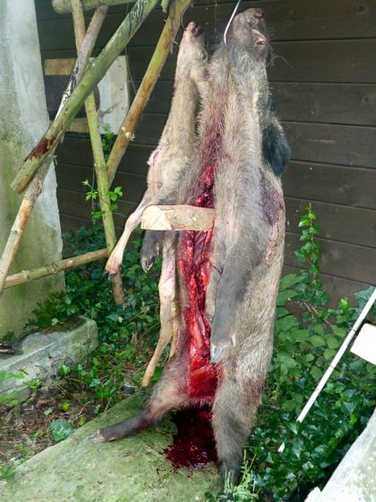 Dr&uuml;ckjagd